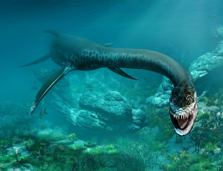 locuri de munca cercetator marin